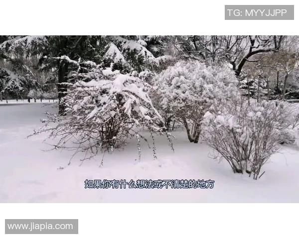 北京乒乓球队控制策略解析与热点动态深度剖析 北京乒乓球队控制策略解析与热点动态深度剖析