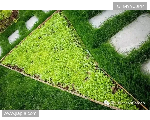 从草地到绿茵场足球明星与母亲的温情岁月与奋斗历程 从草地到绿茵场足球明星与母亲的温情岁月与奋斗历程