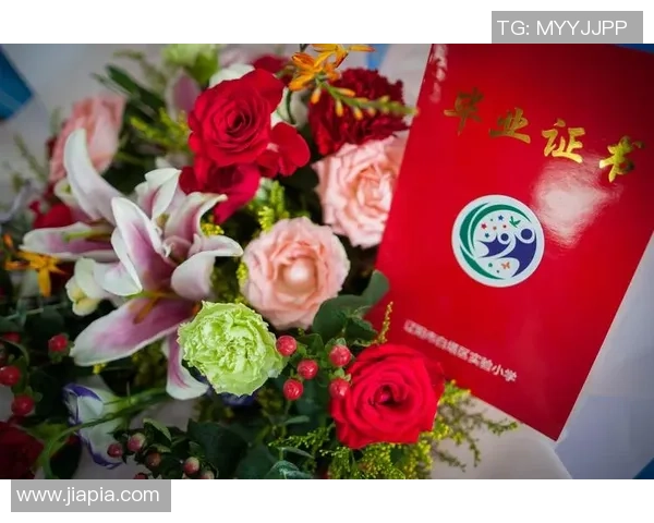 与杨丽畅谈篮球生涯的点滴与成长之路