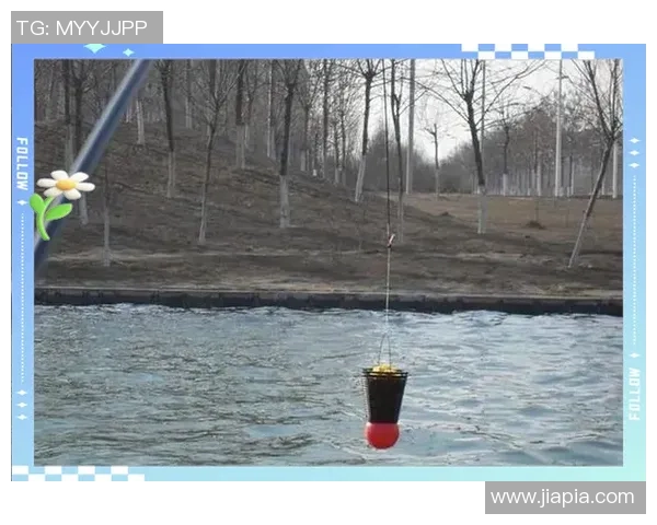 弹珠足球的魅力与乐趣探秘：从游戏规则到技巧分享的全面指南