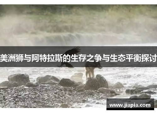 美洲狮与阿特拉斯的生存之争与生态平衡探讨