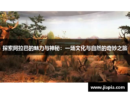 探索阿拉巴的魅力与神秘：一场文化与自然的奇妙之旅